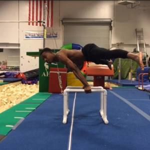 Meet your Posher, Niko